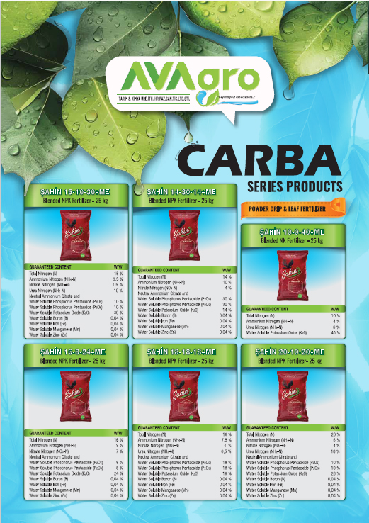 Carba İngilizce Katalog