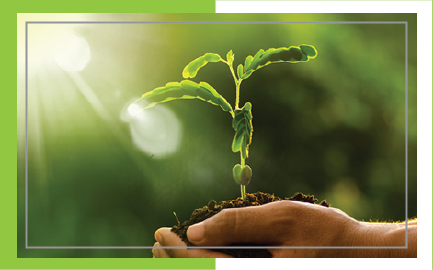 NPK & MAKRO ÖZEL SIVI GÜBRELER